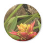 Exotic Flowers of Hawaii Refrigerator Magnets