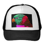 Exotic Parrot Green Red Pink Hat