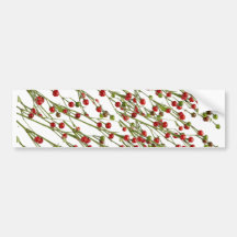 Exotic Red Chillies -  Super Chef Collection Bumper Stickers