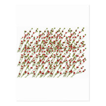 Exotic Red Chillies -  Super Chef Collection Post Card