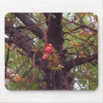 Exotic tree in Thailand mousepads