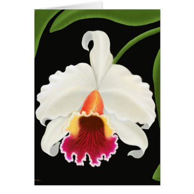 Exotic Tropical Cattleya Orchid Card by twopurringcats