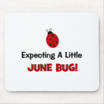 Expecting A Little June Bug Maternity Mouse Pad