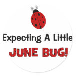 Expecting A Little June Bug Maternity Sticker