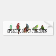 Expédier est pour birds.jpg adhésifs pour voiture
