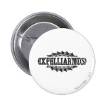 Expelliarus! Pinback Button