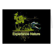 Experience Nature Cards