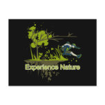 Experience Nature
