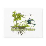 Experience Nature