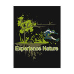 Experience Nature