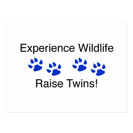 Experience Wildlife Raise Twins Post Card