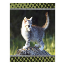 Explorer Kitty Customized Letterhead
