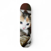 Exploring Kitten Skate Decks