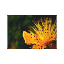 Explosion Canvas Print
