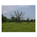 Exposed 10x8 Photographic Print