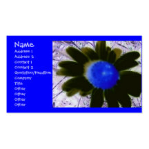 Exposed Effect Daisy Business Cards