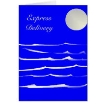 Express Delivery - Moonlight Night Cards