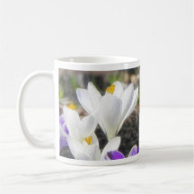 Exquisite White Crocuses Mug