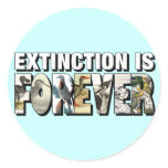 Extinction Is Forever