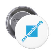EXTRAORDINARY PINS