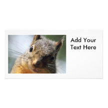 Extreme Closeup Squirrel Picture Photo Greeting Card