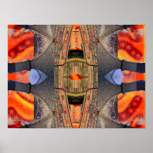 Extreme Designs CricketDiane Art Posters 2