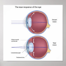 Eye adaptation to near vision Poster