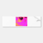 eye of an artist bumper stickers