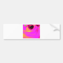 eye of an artist bumper stickers