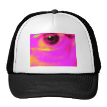 eye of an artist mesh hat