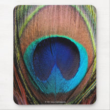Eye of the Peacock Feather Close-Up Mousepads