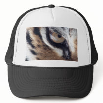 Eye of the Tiger Mesh Hat