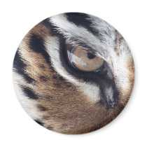 Eye of the Tiger Refrigerator Magnet