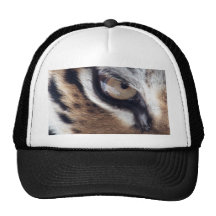 Eye of the Tiger Mesh Hat