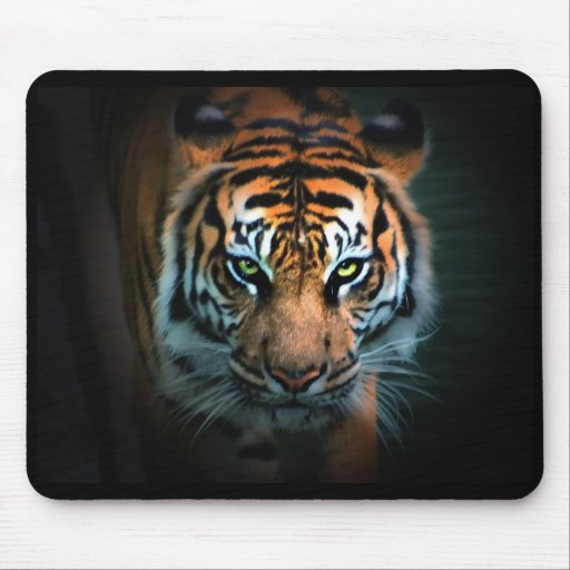 Eye of the Tiger Mouse Mat