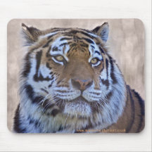 Eye of the Tiger Mousemat Mouse Pads