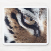 Eye of the Tiger Mouse Pads