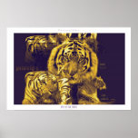 Eye of the Tiger Poster
