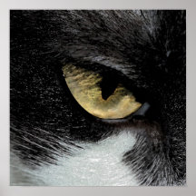 Eye of the Tiger Posters