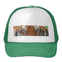 Eye Of The Tiger Trucker Hat
