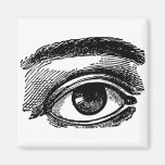 Eye Sees All - Vintage Illustration Magnet