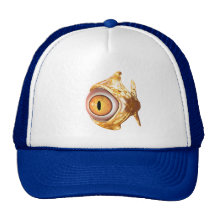 eyefish casquettes