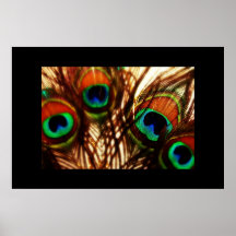 Eyes of a Peacock Posters