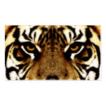 Eyes of a Tiger Business Card Templates