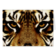 Eyes of a Tiger Cards