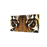 Eyes of a Tiger Gallery Wrap Canvas
