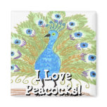 Eyes of India Peacock by Wendy C. Allen