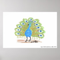 Eyes of India Peacock by Wendy C. Allen