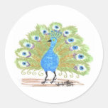 Eyes of India resize Stickers