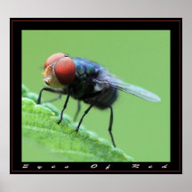 Eyes Of Red Print